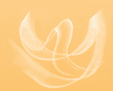 Logo Paul Stammeier